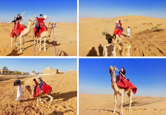 Dubai Desert Safari - Comprehensive and fast comprehensive guide