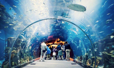 THINGS TO DO IN DUBAI FOR THE WHOLE FAMILY
