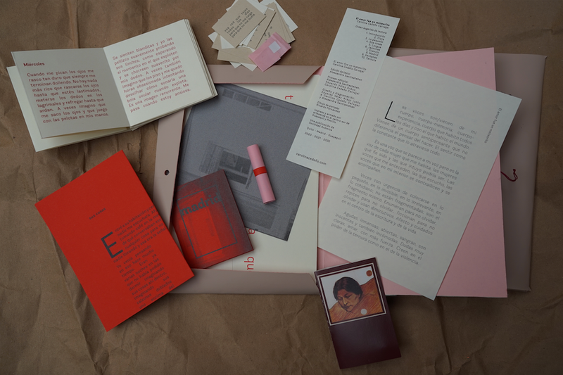 Sociedad Anómica: libros-objeto y contenedores | 2017-202X