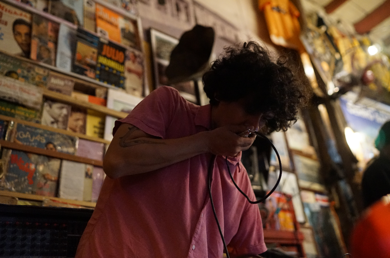 Leporian | 2015 - 202x