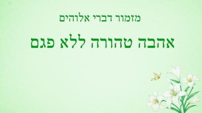 שיר קודש 'אהבה טהורה ללא פגם' (מילים לשיר)