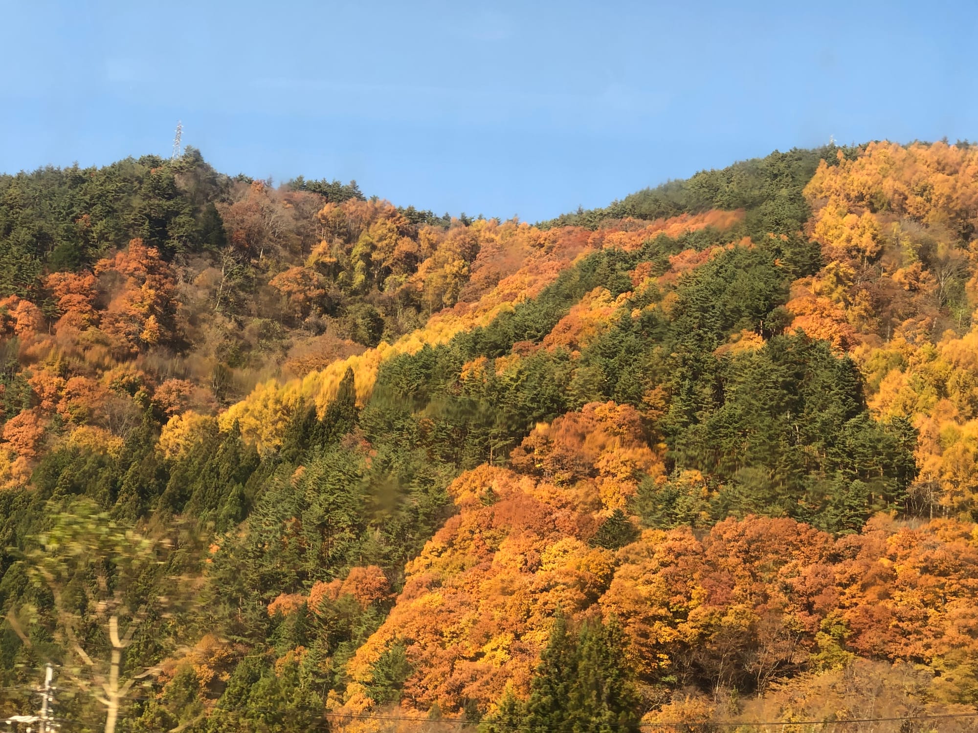 From the sublime to the ridiculous!  The peaceful 12 km Nakasendu mountain trail to the Shinkansen.