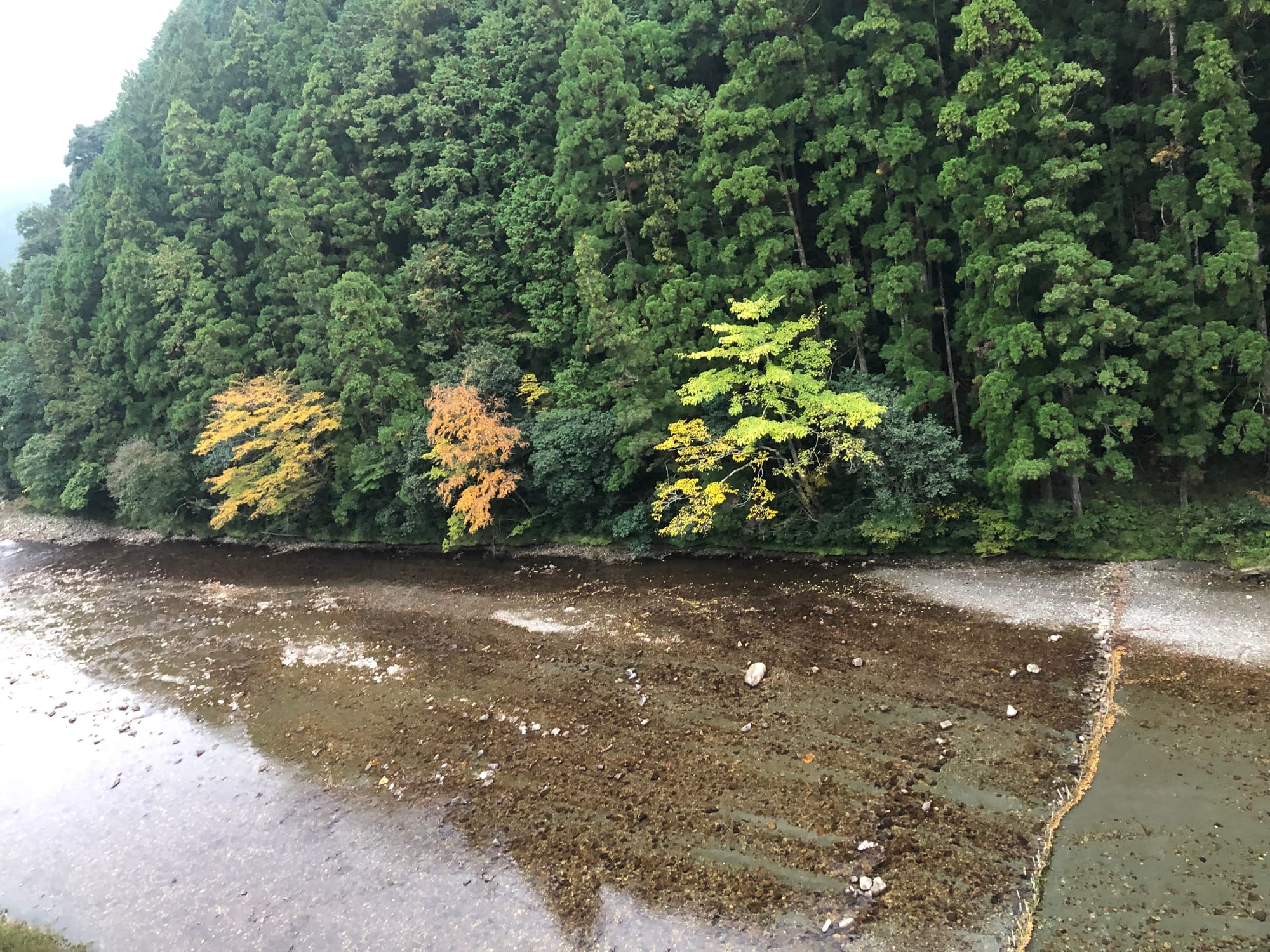 Kumano Kodo Pilgrim Walk