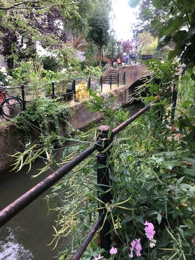 Totsiens. Homeward bound.