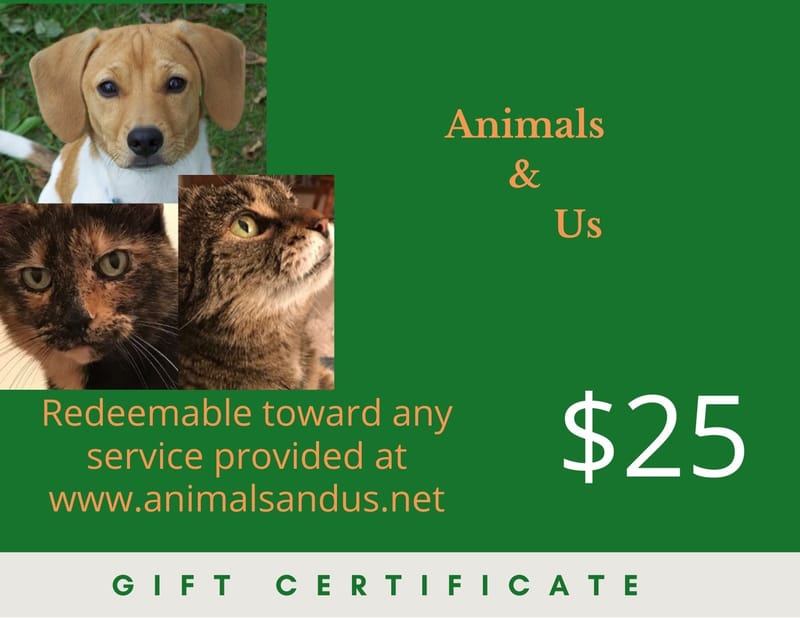 GIFT CERTIFICATES