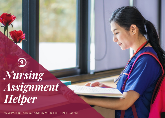 Why do the students need the online help in nursing assignments?