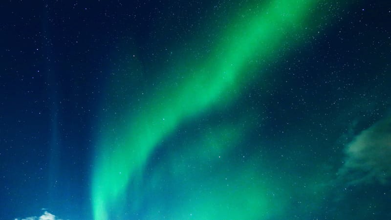 Komm Knüppelhalter!