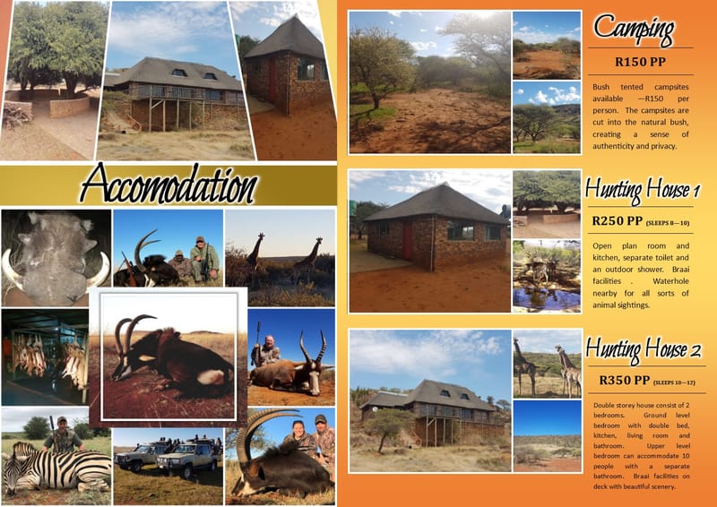 Accommodation