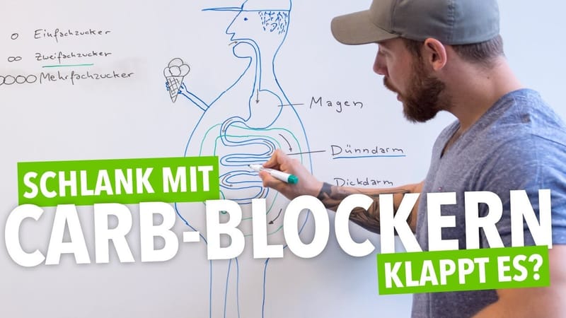 Kohlenhydratblocker - Funktion und Wirkung von Carb Blocker