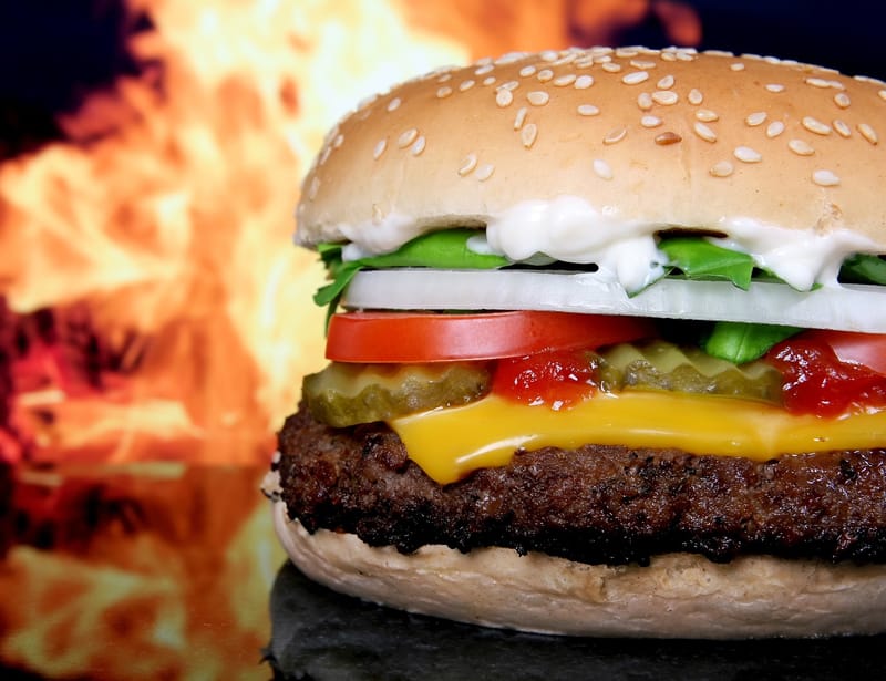LIVRAISON DE REPAS A DOMICILE
