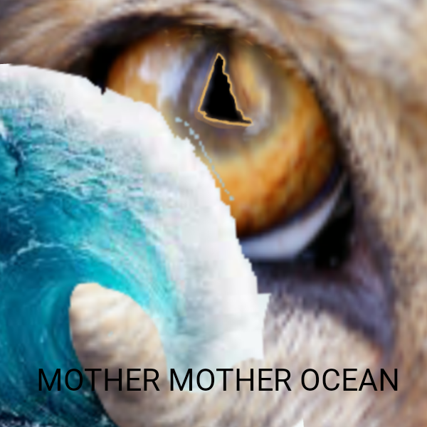 Mother Mother Ocean