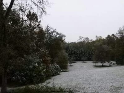 welcome image