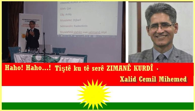 Haho! Haho...!   Tiştê ku tê serê ZIMANÊ KURDÎ