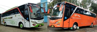 Perusahaan Bus Pariwisata Murah dan Terpercaya