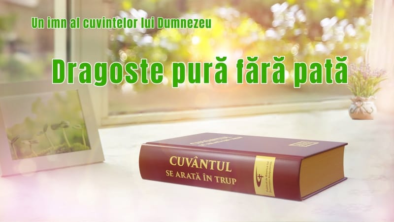 Dragoste pură fără pată