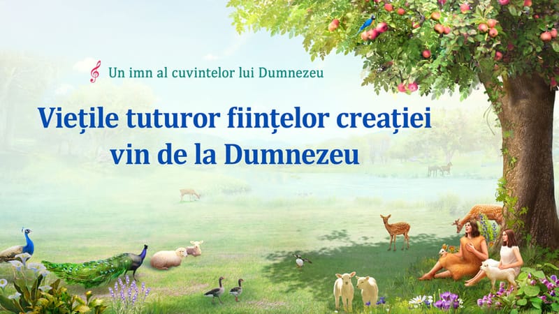 Viețile tuturor ființelor creației vin de la Dumnezeu