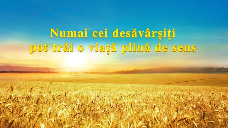 Numai cei desăvârșiți pot trăi o viață plină de sens
