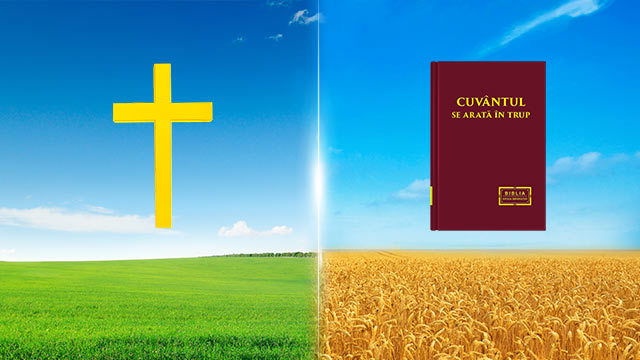 3. Diferențele dintre calea pocăinței și calea vieții veșnice