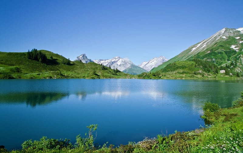 3. Recunoașteți diferențele dintre Hristosul întrupat, falșii Hristoși și falșii profeți