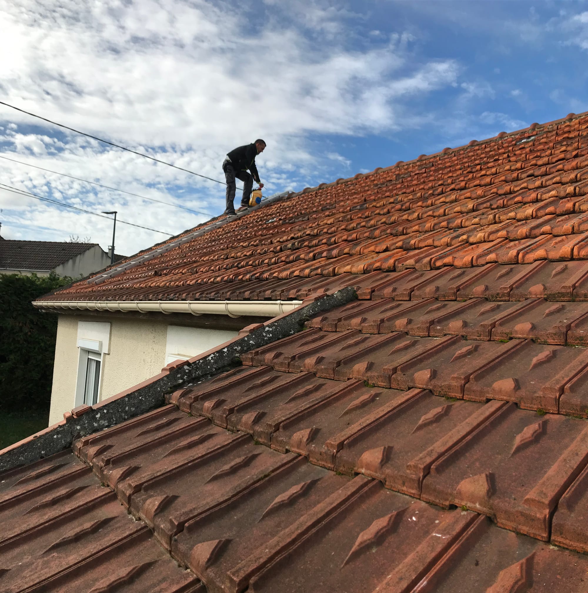 Application d'un traitement anti-mousse fongicides