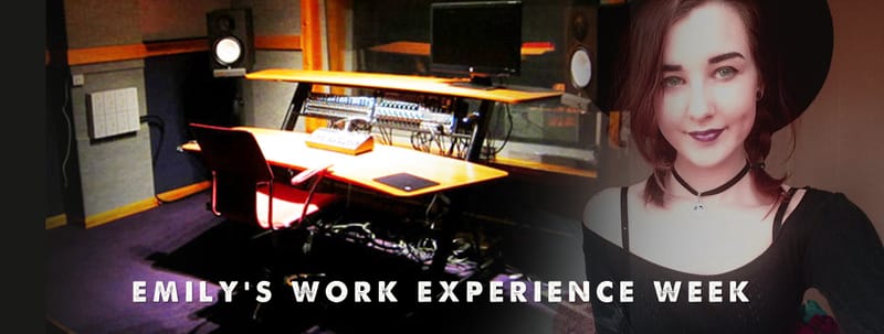 Emily's Work Experience