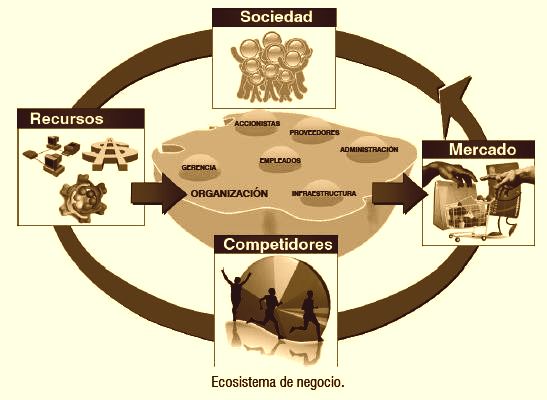 ¿Qué es un ecosistema de Negocios?