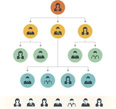 ESTRUCTURA ORGANIZACIONAL