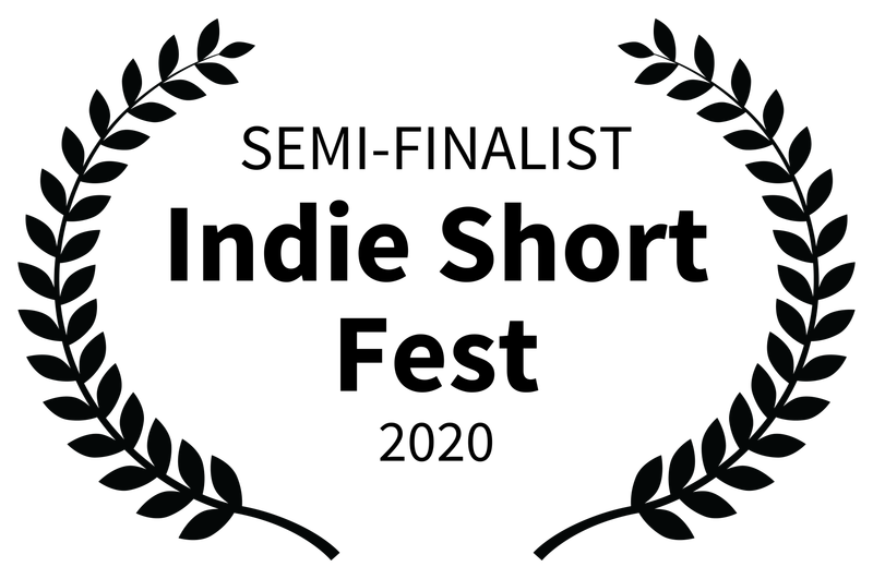 festival selections and nominations