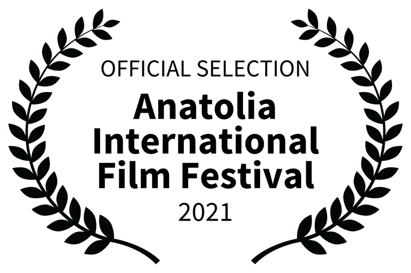 festival selections and nominations