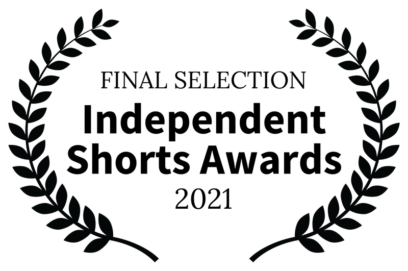 festival selections and nominations