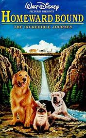 המסע המופלא הביתה / Homeward Bound: The Incredible Journey