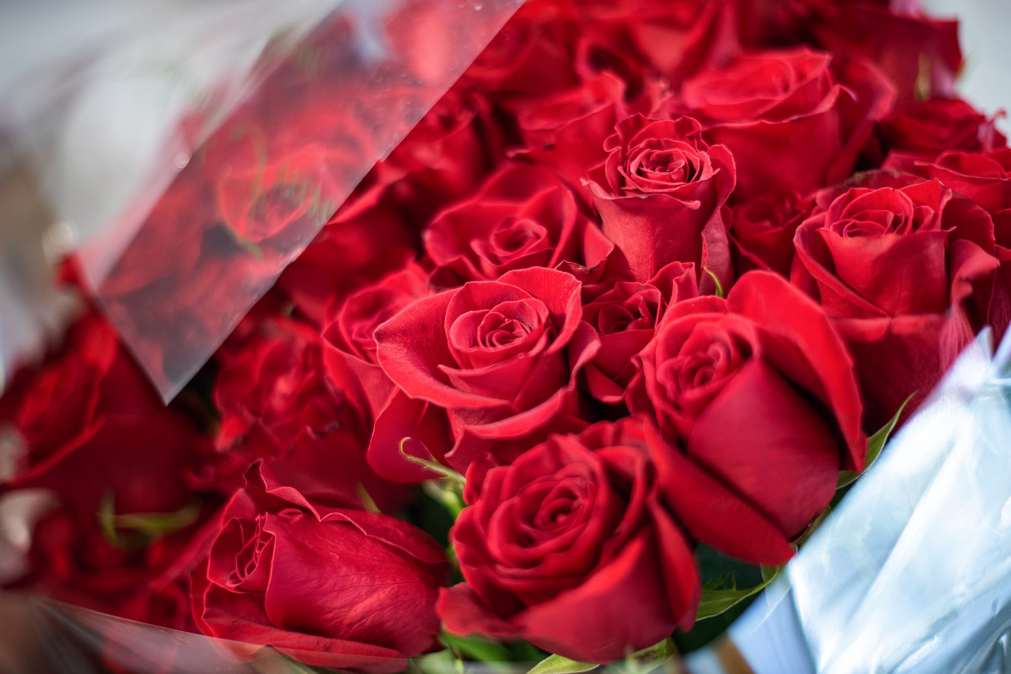 Reportage Daniela e Stefano