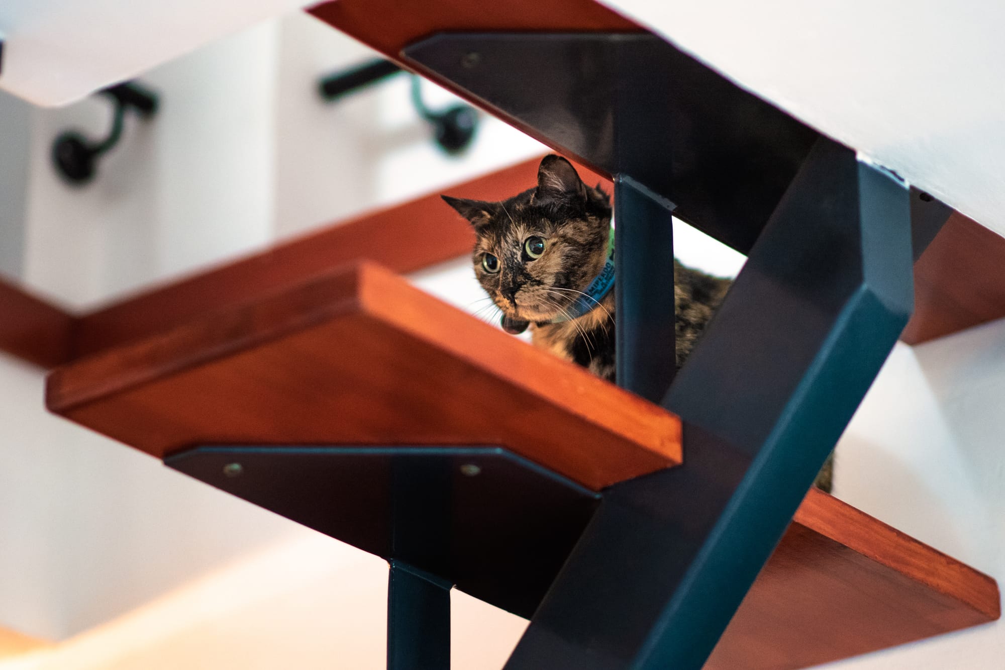 Reportage Monica e Stefano