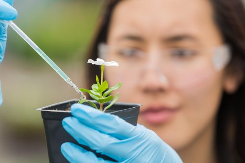 البحث الزراعي