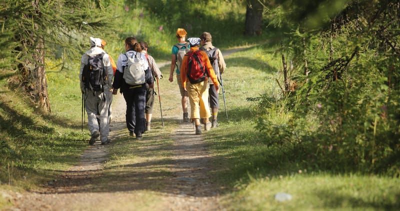 Peregrinar no Caminho dos Lírios