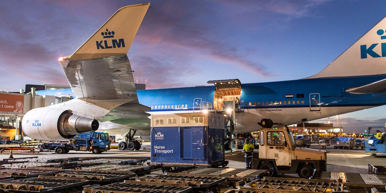 How do I Get Hold of KLM?