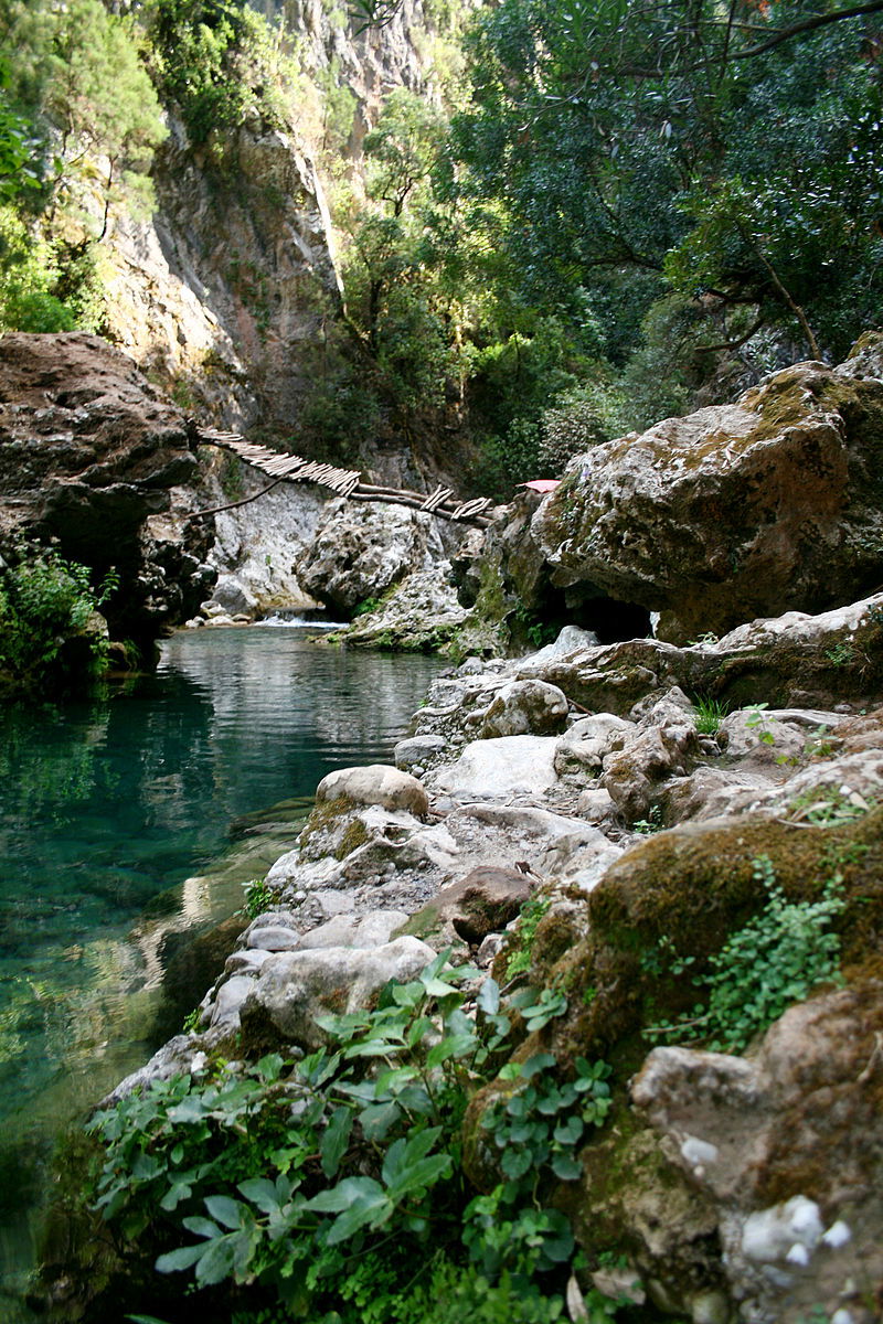 منتزه تازكة