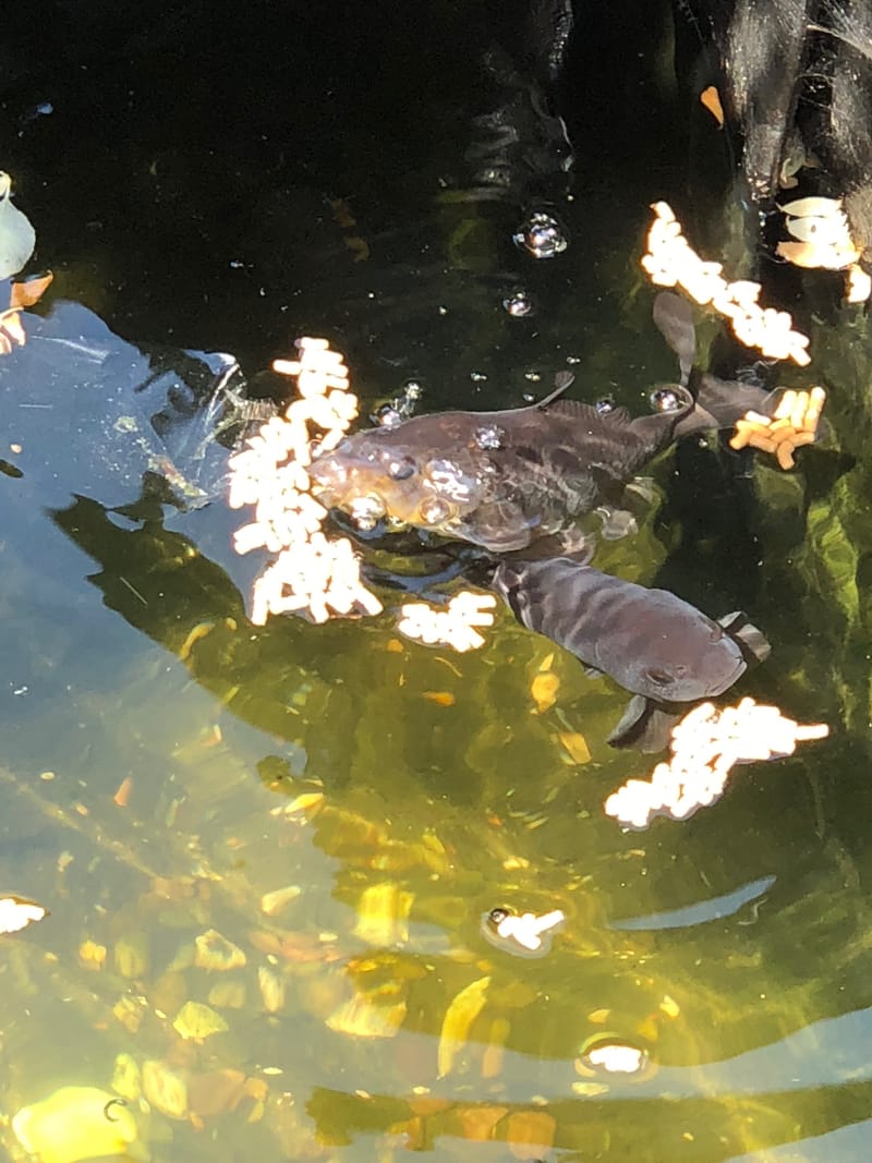 Think Of the End Result