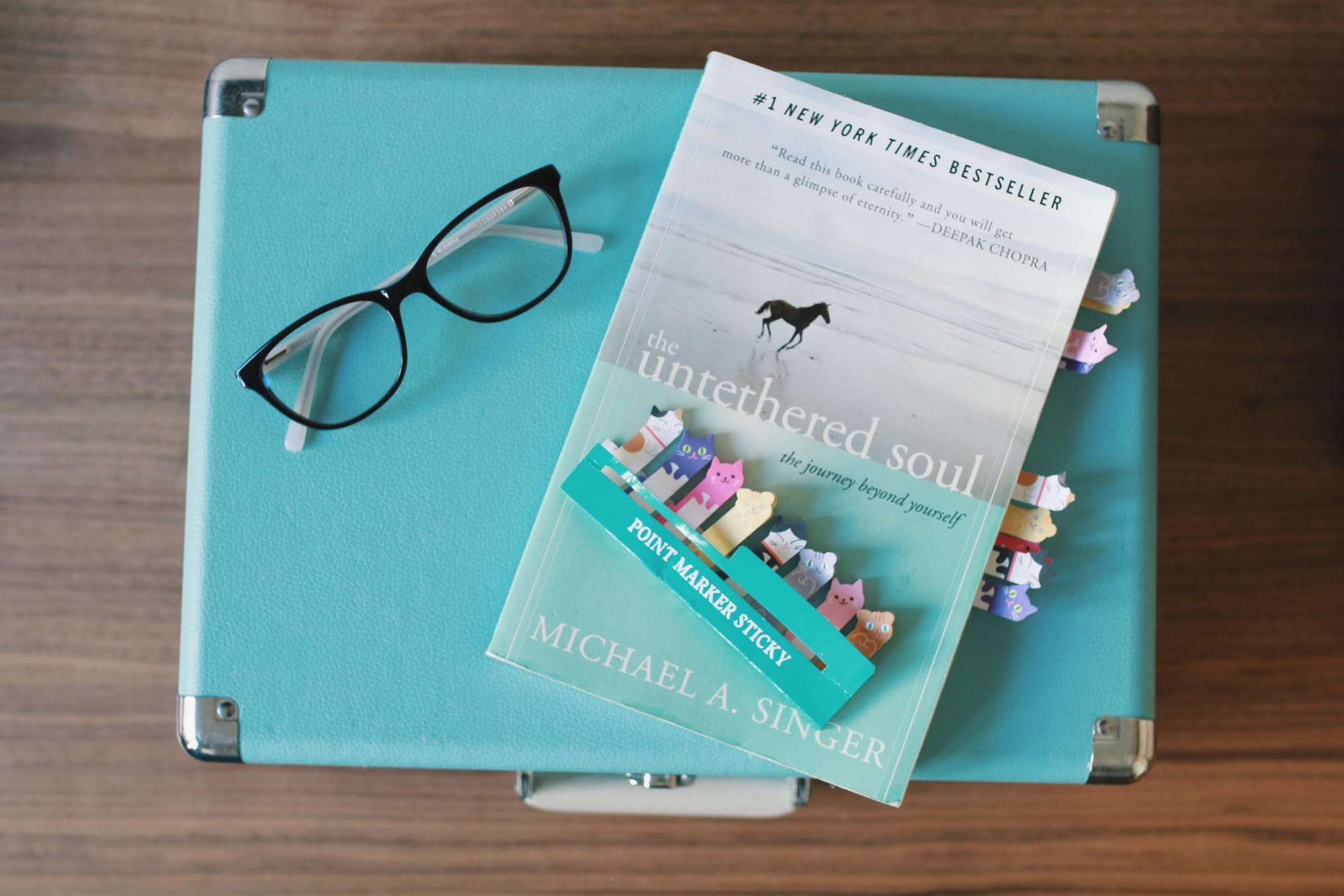 Reader's Guide to the Untethered Soul Book