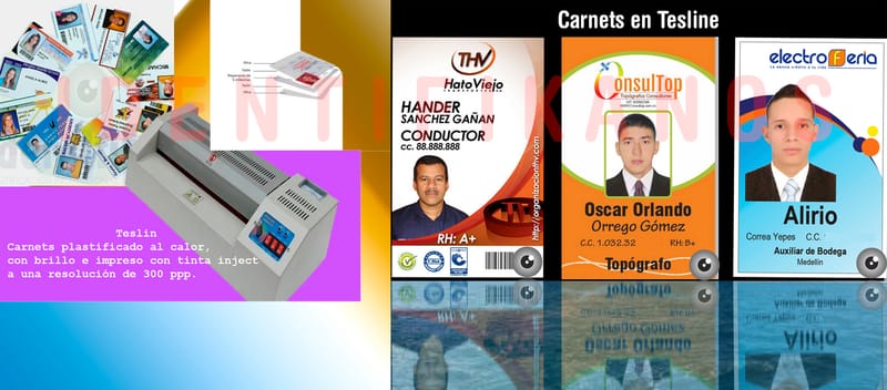 CARNETS EN TESLIN