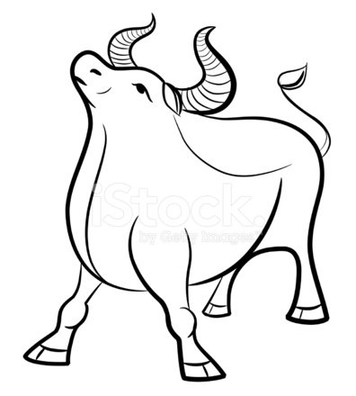 Un buey llamado Hermoso