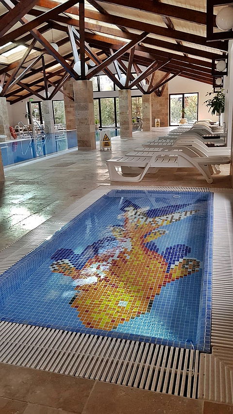 Centru SPA Club Vila Bran