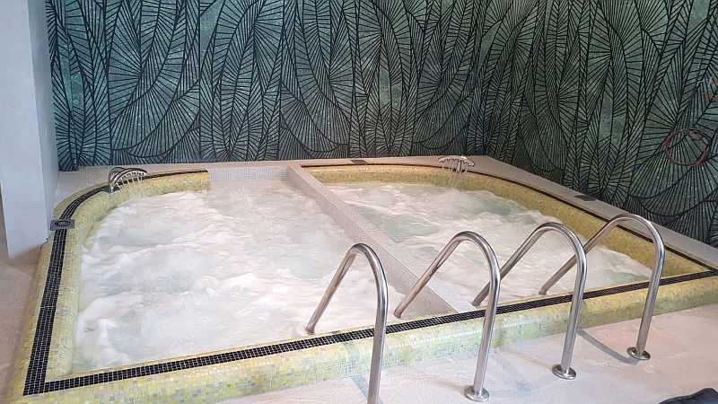 Mandachi Hotel and SPA Suceava