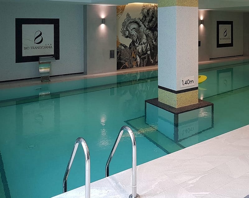 Mandachi Hotel and SPA Suceava