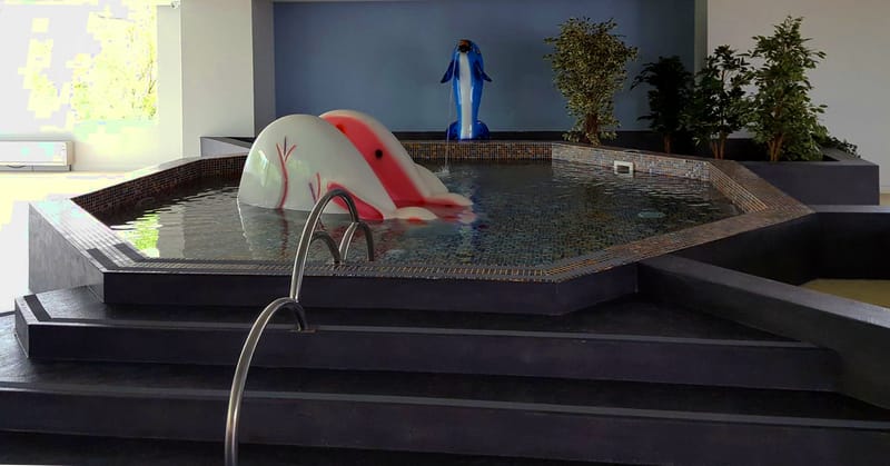 Centru SPA Paradisul Verde Corbeanca