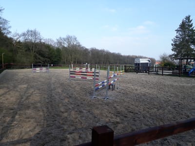 Paard zadelmak maken image