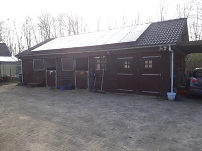Paard zadelmak maken image