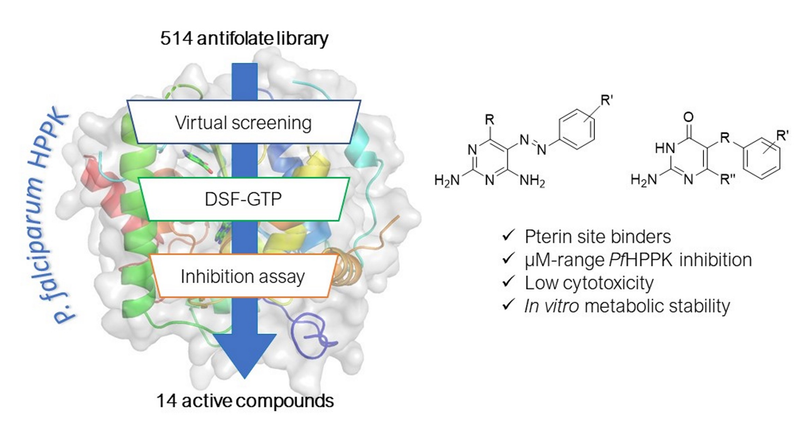 Assay Development and Identification of the First Plasmodium falciparum 7,8-dihydro-6-hydroxymethylpterin-pyrophosphokinase Inhibitors