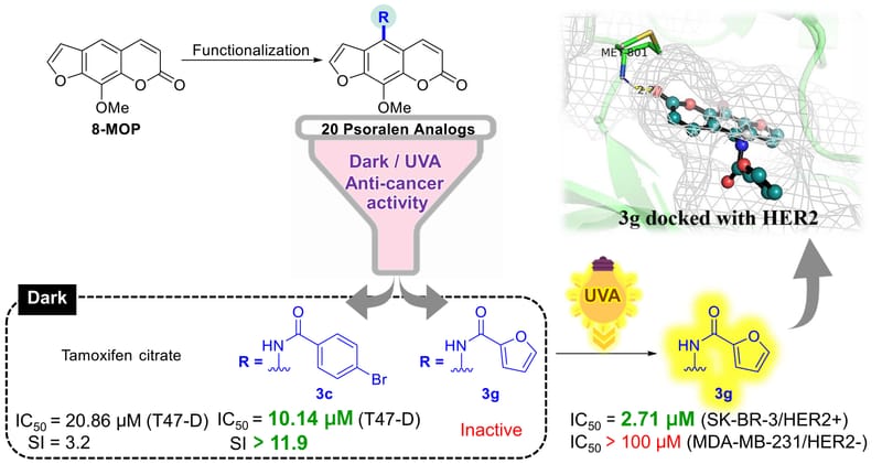 Novel Psoralen Derivatives as Anti‑Breast Cancer Agents and Their Light‑Activated Cytotoxicity against HER2 Positive Breast Cancer Cells