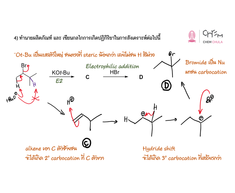 Org Chem (Undergrad)